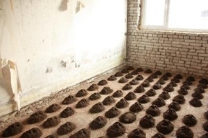 Instaliacija "Beveidžiai", Estija, 2009. Instaliacija "Beveidžiai", Estija, 2009.