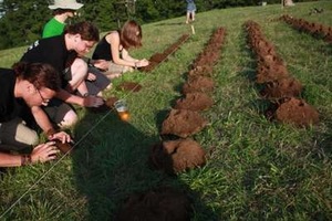 "Veidu iš žemės", 2009 "Veidu iš žemės", 2009