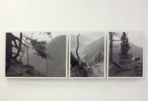  I. Maldžiūnas. Iš serijos LA MA YU RU. 2011