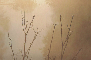 Arvydo Šliogerio knygos „Melancholijos archipelagai“ viršelio fragmentas