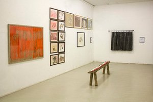 A. Vaitkūnienės paroda „Gamtos gurmano kabinetas“. Airidos Rekštytės nuotr.