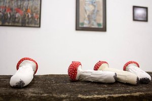 A. Vaitkūnienės paroda „Gamtos gurmano kabinetas“. Airidos Rekštytės nuotr.