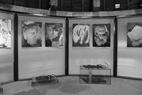 Personalinės parodos „Stiklo logika“ ekspozicija Kauno pilyje, 2016. Darbai iš ciklų „Miegantys laike“, „Balti veidai“. Personalinės parodos „Stiklo logika“ ekspozicija Kauno pilyje, 2016. Darbai iš ciklų „Miegantys laike“, „Balti veidai“.