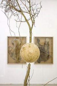 A. Vaitkūnienės paroda „Gamtos gurmano kabinetas“. Airidos Rekštytės nuotr. A. Vaitkūnienės paroda „Gamtos gurmano kabinetas“. Airidos Rekštytės nuotr.