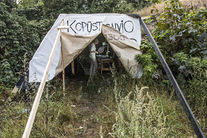 „Kopūstaglvio cirkas“, Šančiai, Kaunas, 2014 „Kopūstaglvio cirkas“, Šančiai, Kaunas, 2014