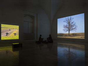 Patricija Gilytė. Instaliacija Galerie der Künstler parodų salėje, Miunchene, paroda „Skulpturale Handlungen / Skulptūriniai veiksmai“, „Corvidae_Tree“, „Corvidae_Field“ (Varnų medis, varnų laukas), 2006. Wilfried Petzi nuotr. Patricija Gilytė. Instaliacija Galerie der Künstler parodų salėje, Miunchene, paroda „Skulpturale Handlungen / Skulptūriniai veiksmai“, „Corvidae_Tree“, „Corvidae_Field“ (Varnų medis, varnų laukas), 2006. Wilfried Petzi nuotr.