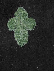 Iš personalinės J. Pociūtės parodos „Bangãvimo skãlė“, Pamėnkalnio galerija, Vilnius, 2016 Iš personalinės J. Pociūtės parodos „Bangãvimo skãlė“, Pamėnkalnio galerija, Vilnius, 2016