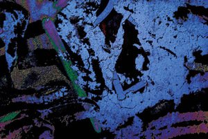 I. Mindiuz. Iš serijos „Nematomas grožis“. 2016. Fotografija/mišri technika/dirbtinis šilkas I. Mindiuz. Iš serijos „Nematomas grožis“. 2016. Fotografija/mišri technika/dirbtinis šilkas