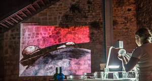 „Plaukuota burna“, Šibenikas, Kroatija, 2016 „Plaukuota burna“, Šibenikas, Kroatija, 2016