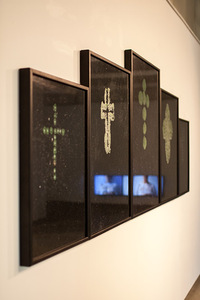 Iš personalinės J. Pociūtės parodos „Bangãvimo skãlė“, Pamėnkalnio galerija, Vilnius, 2016 Iš personalinės J. Pociūtės parodos „Bangãvimo skãlė“, Pamėnkalnio galerija, Vilnius, 2016