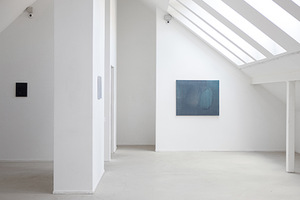 Ekspozicijos fragmentas iš parodos „KAŽKAS PANAŠAUS“ galerijoje „Meno parkas“