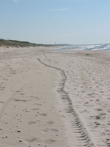 Židrija Janušaitė. "The Way", sand, about 1 km, Nida, 2010