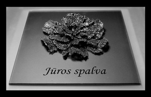 Sigita Gaučienė. Silvia's colors. Project's supervisor Assoc. Prof. Arūnas Daugėla. 2011 Sigita Gaučienė. Silvia's colors. Project's supervisor Assoc. Prof. Arūnas Daugėla. 2011