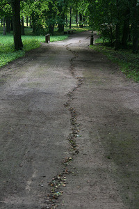 Židrija Janušaitė. "The Way", leaves, about 1 km Žagarė, 2011. Židrija Janušaitė. "The Way", leaves, about 1 km Žagarė, 2011.