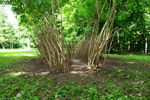 Work by Vincenzo Antonuccio and Marilena Calbini (Italy) Work by Vincenzo Antonuccio and Marilena Calbini (Italy)