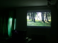 ANYKŠČIŲ ŠILELIS, 2007.