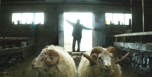 Kadars iš filmo „Avinai“ Kadars iš filmo „Avinai“