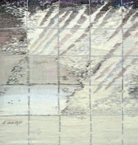 Danguolė Brogienė 'Blizzard behind the Window' Danguolė Brogienė 'Blizzard behind the Window'