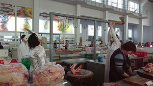 Aktorių trupės „Rabbits“ pasirodymas „Bright side, arba kaip zuikis jausmus pažino“. M. Munderzbakaitės nuotr.