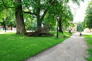 Work by William Cardot and Nelly Pascal (France) Work by William Cardot and Nelly Pascal (France)