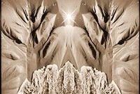 "Vilties šviesa" "Vilties šviesa"