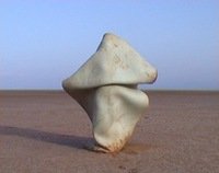 DĖMESYS 360°, 2005, video.