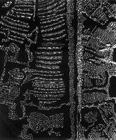 D. Maleckienės darbas iš serijos „Fotografikos abstrakcijos“. 2010–2015, 50x40 cm D. Maleckienės darbas iš serijos „Fotografikos abstrakcijos“. 2010–2015, 50x40 cm