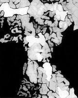 D. Maleckienė piece from series "Photographic abstractions." 2010 - 2015, 50 x 40 cm. D. Maleckienė piece from series "Photographic abstractions." 2010 - 2015, 50 x 40 cm.