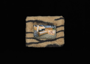 Donatas Stankevičius. „Reselling“