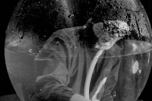 V. Lanskoronskytė. „Benas Šarka“, 2016 m. V. Lanskoronskytė. „Benas Šarka“, 2016 m.