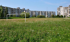 Evelinos Šimkutės fotografija, 2012 m. Evelinos Šimkutės fotografija, 2012 m.