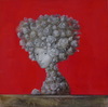 FLORA, 2001