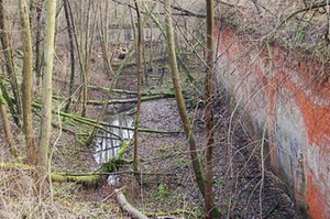 V forte dėl gausios augmenijos sunkiai suvokiama įtvirtinimų visuma. A.Blinstrubaitės-Vasiliauskienės nuotr.