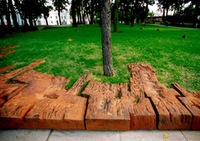 Commemoration monument of R.Kalanta sacrifice place.