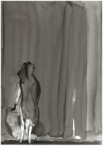 Greta Grendaitė. Iš serijos FLORA & FAUNA (20). Tušas, 2013 Greta Grendaitė. Iš serijos FLORA & FAUNA (20). Tušas, 2013