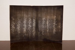 P. Ramanausko ir R. Sorakaitės parodos „Kamertono aidas“ fragmentas P. Ramanausko ir R. Sorakaitės parodos „Kamertono aidas“ fragmentas