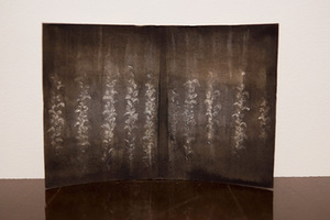 Fragment from P. Ramanauskas and R. Sorakaitė's exhibition Tonometer's echo Fragment from P. Ramanauskas and R. Sorakaitė's exhibition Tonometer's echo