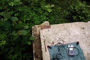 From J. Jarulytė's project Lithuanian North. Photo from the artist's archive From J. Jarulytė's project Lithuanian North. Photo from the artist's archive