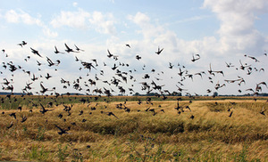 From J. Jarulytė's project Lithuanian North. Photo from the artist's archive From J. Jarulytė's project Lithuanian North. Photo from the artist's archive