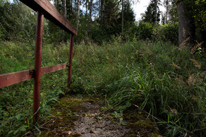 From J. Jarulytė's project Lithuanian North. Deer Valley. Photo from the artist's archive From J. Jarulytė's project Lithuanian North. Deer Valley. Photo from the artist's archive