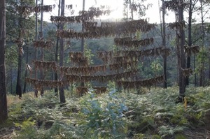 Jūratė Jarulytė. Dream Objects II, 2008. Žemės meno instaliacija, Binaural meno rezidencija, Nodar, Portugalija. Jūratė Jarulytė. Dream Objects II, 2008. Žemės meno instaliacija, Binaural meno rezidencija, Nodar, Portugalija.