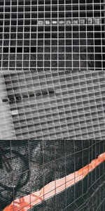 Vilijos Kailiūtės fotografija Vilijos Kailiūtės fotografija