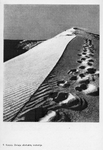 P. Karpavičius, Fotografijos vadovas P. Karpavičius, Fotografijos vadovas