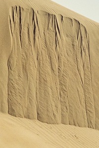 Photograph by F. Kerpauskas Photograph by F. Kerpauskas