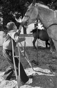 Kražiai. 1976 Kražiai. 1976