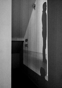 Kristina Valasevičienė. „Šviesoraščiai“ Kristina Valasevičienė. „Šviesoraščiai“