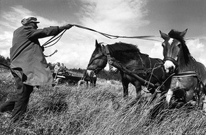 Krištonys. 1984 Krištonys. 1984