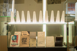 „Salomėjos genomas“. Miko Zabiulionio nuotr.