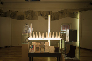 „Salomėjos genomas“. Miko Zabiulionio nuotr.