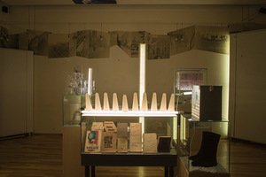 „Salomėjos genomas“. Miko Zabiulionio nuotr.